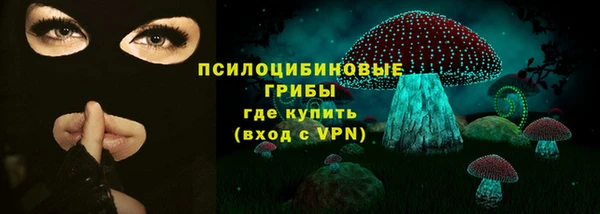 PSILOCYBIN Бугульма
