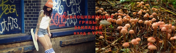 МДМА Бородино